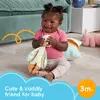 Rotaļlieta gailis Fisher-Price Snuggle Up Goose Photo 9