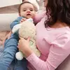Rotaļlieta trušelis Fisher-Price Soothe & Settle Bunny Photo 4