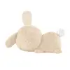 Rotaļlieta trušelis Fisher-Price Soothe & Settle Bunny Photo 6