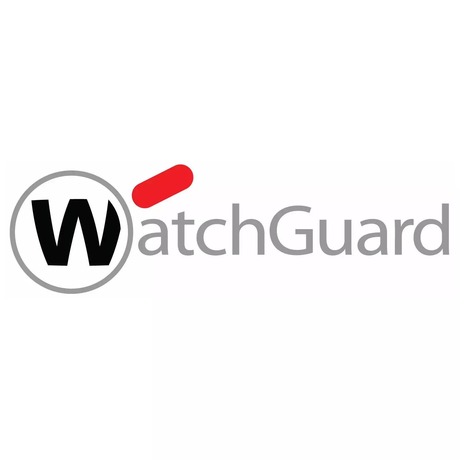 WatchGuard WGVLG151 Photo 1