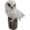 Esschert Design 37000209 Owl Decorative Statue Photo 2