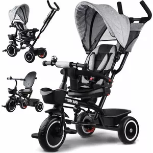 Bērnu trīsritenis Tiny Bike 3in1 ar nojumi ROTARY SP0650 — Tiny Bike