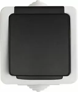 Socket outlet Kanlux 25356 — IP54 ABS housing, 250 V, 16 A, Class I
