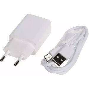 Wall Charger No name model 5V 1A USB and USB-C port AC USB power adapter