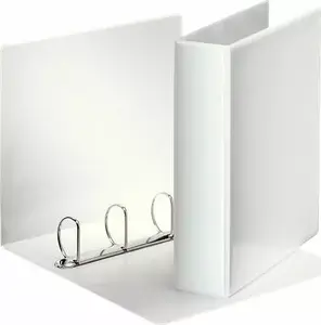 Ring binder A4 ESSELTE Panorama — D-ring, white, presentation folder