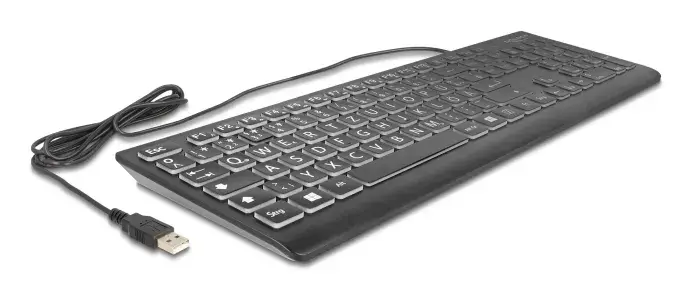 DeLOCK 12170 Keyboard USB QWERTZ German Photo 2