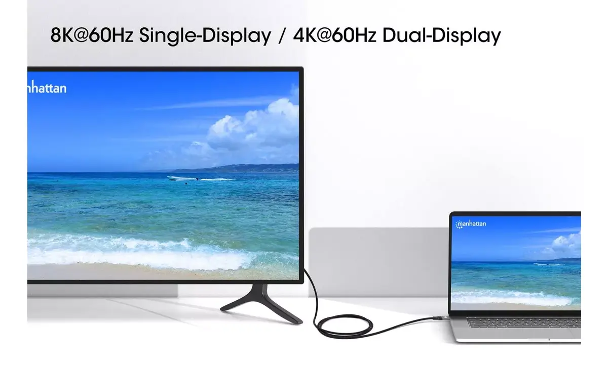 USB-C Male to USB-C Male kabelis Manhattan 2m Photo 13