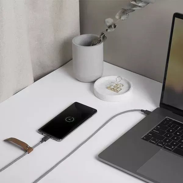 Кабель USB-C Native Union BELT-C-ZEB-2-NP 1.2 м Photo 6