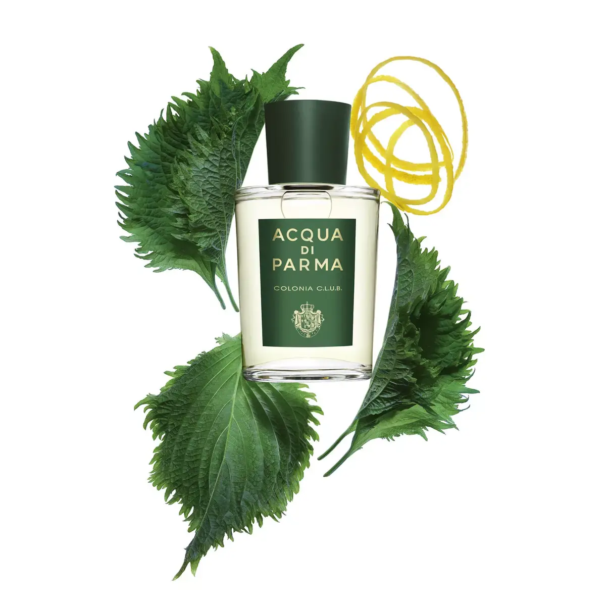 Acqua Di Parma Colonia C.L.U.B. Eau de Cologne 180 ml Photo 4