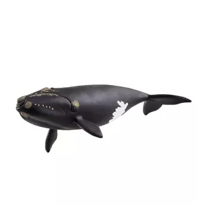 Schleich WILD LIFE North Atlantic Right Whale Multicolour 14878SCH