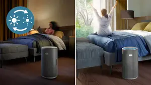 Go to sleep and wake up with fresh, clean air