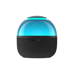 Mono portable speaker Havit SK900BT, black