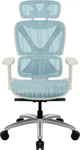 Ergonomic Office Chair thunder x3 TEGC-3073102.B1 — White and Blue upholstery, adjustable armrests, high backrest
