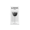 LOEWE Парфюмерия Solo Ella Eau De Parfum 100 мл Photo 3