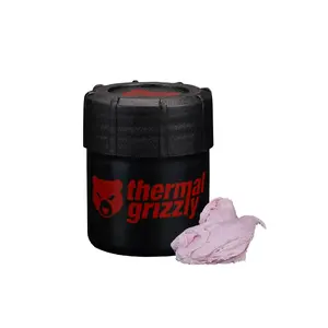 Thermal Paste Thermal Grizzly TG Putty 40 g