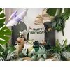 Бумажный лоток Pudełka PartyDeco FNS3 Photo 5