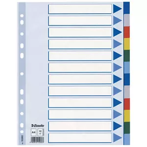 Esselte 15262 Blank Tab Index, Polypropylene, Multicolour