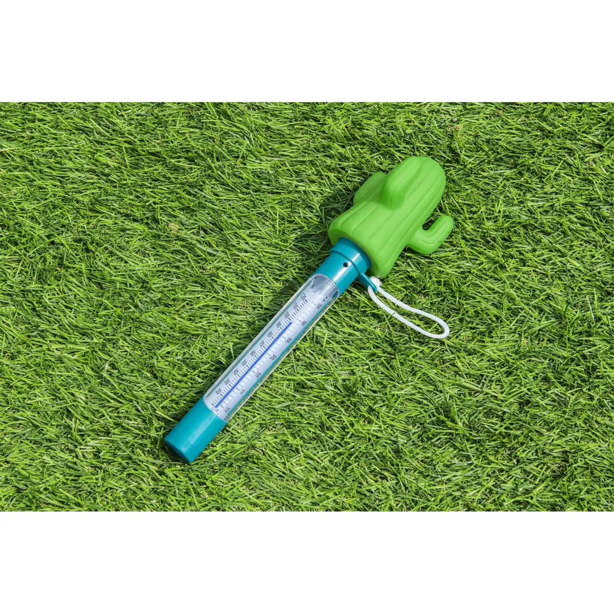 Floating Pool Thermometer Bestway 7344200 Photo 6