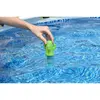 Floating Pool Thermometer Bestway 7344200 Photo 7