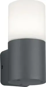Outdoor wall light TRIO 1x E27 (bulb excluded) model 224060142, weather-resistant exterior luminaire
