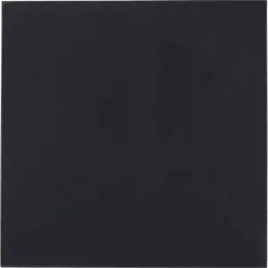 Thermal Grizzly thermal pad Minus Pad Advance 100×100×1.0 mm pack of 2