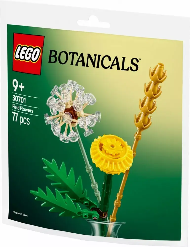 LEGO konstrukcija 30701 Botanicals Field Flowers Photo 2