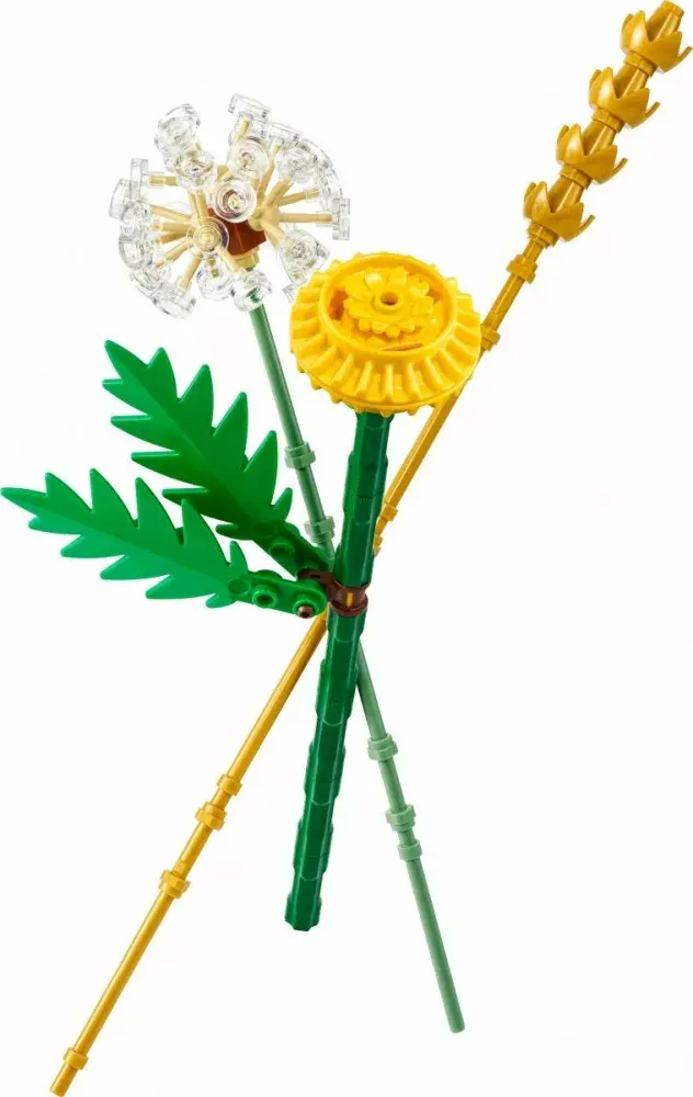 LEGO konstrukcija 30701 Botanicals Field Flowers Photo 4
