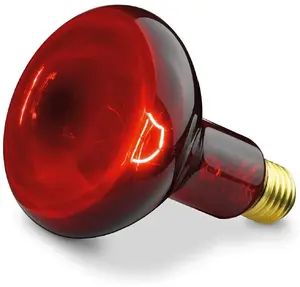 Replacement Lamp Beurer 614.51 — Red Light Infrared Replacement Bulb for Beurer Devices