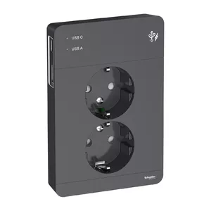 Розетка Schneider Electric WDE003395 Schuko с USB-зарядным устройством, антрацит