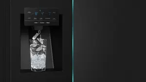 Ice & Water Dispenser