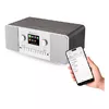 GoGen IR 257 BTDAB Internet Radio Photo 5