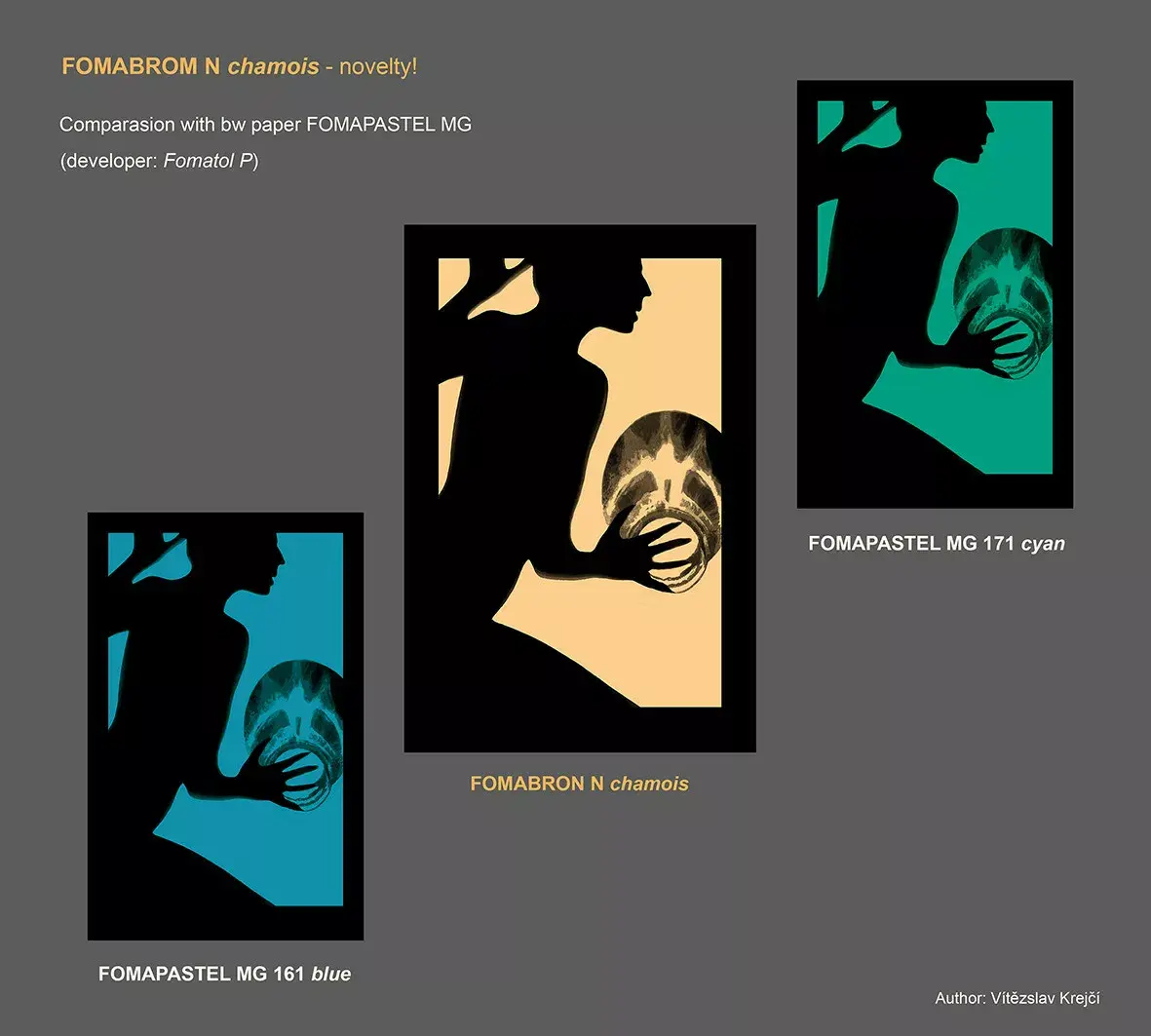 Фотобумага Foma Fomabrom 142 N Chamois 20,3x25,4 см Photo 4