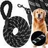 Dog rope training leash Springos PA0331 3 m Photo 2