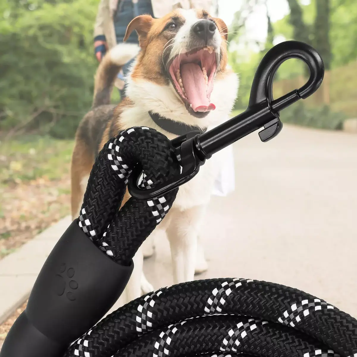 Dog rope training leash Springos PA0331 3 m Photo 9