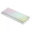 Игровая клавиатура Savio Phenix WHITE GAT YELLOW Photo 3