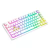 Spēļu tastatūra Savio Phenix WHITE GAT YEL PUD Photo 4