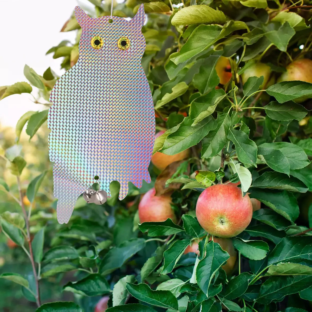 Springos GA0070 Holographic Owl Bird Repeller Photo 6