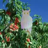 Springos GA0070 Holographic Owl Bird Repeller Photo 7