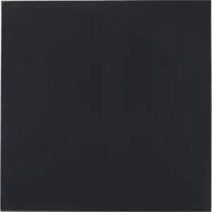 Thermal pad Thermal Grizzly Minus Pad Basic 100 x 100 x 1.0 mm (2 pieces)
