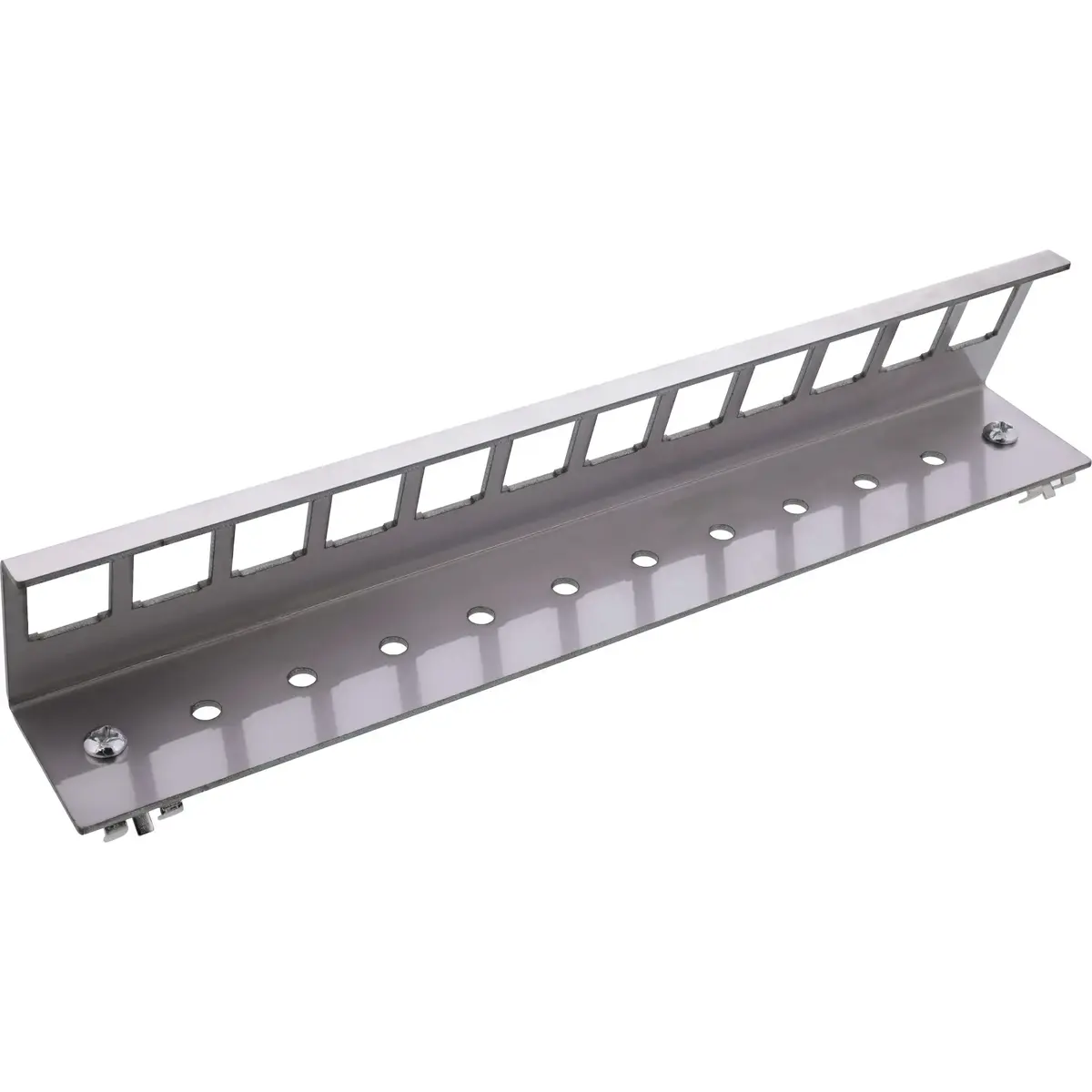 InLine 76203I Keystone Module Holder Photo 2