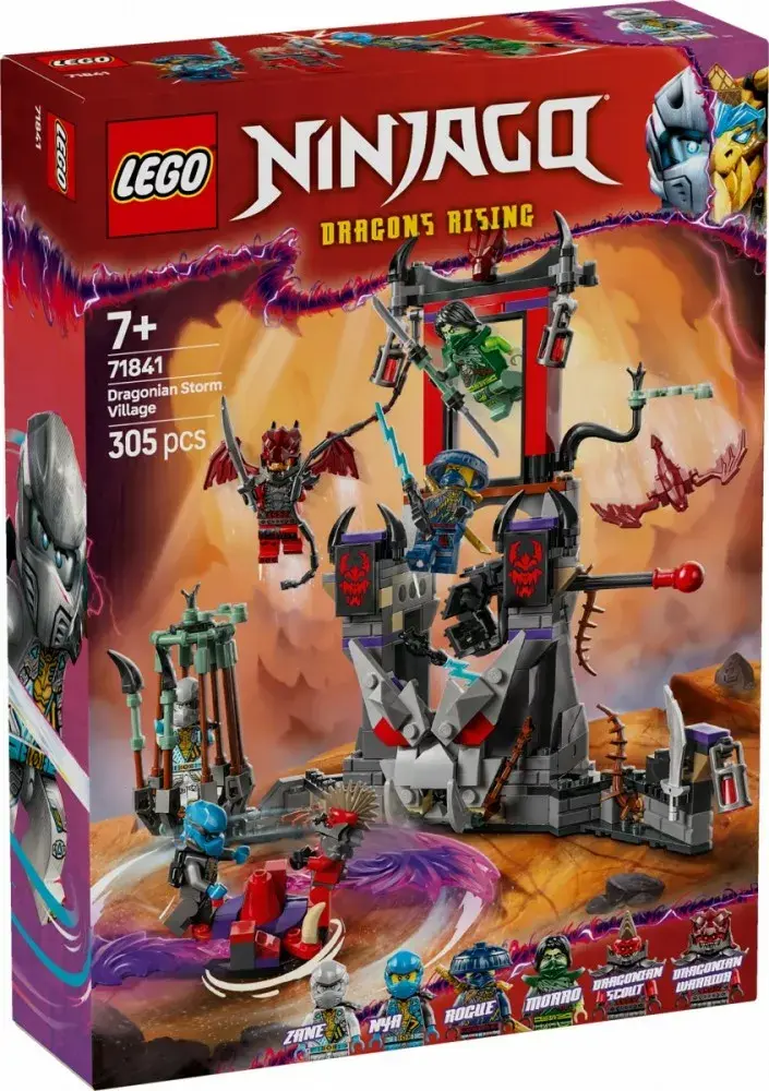 LEGO NINJAGO 71841 Dragon Village set Photo 2