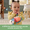 Bruņurupucis Fisher-Price Sea Me Bounce Turtle Photo 10