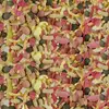Сухой корм для рыб sera Pond Mix Royal Photo 2