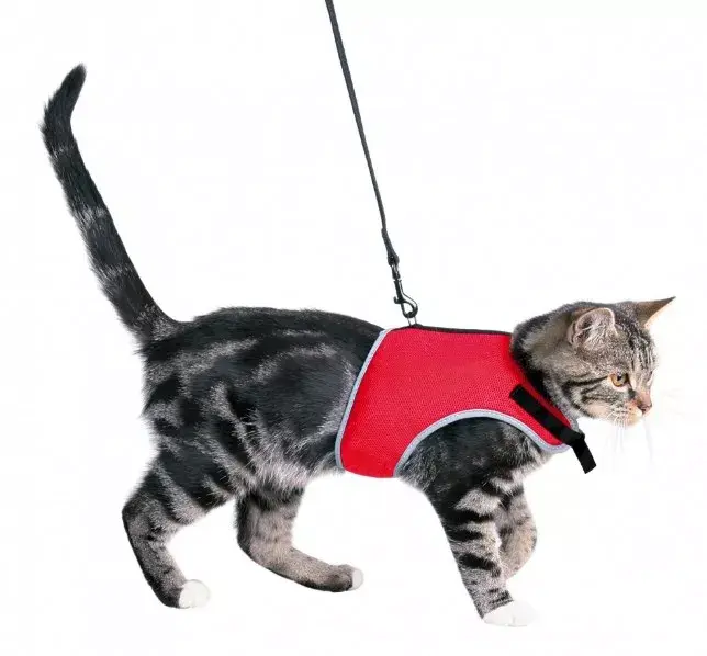 Vest harness Trixie 41896 Photo 2