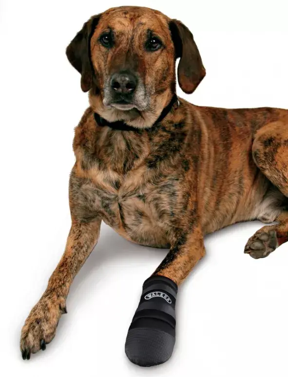 Dog Boot TRIXIE 1959 Photo 3