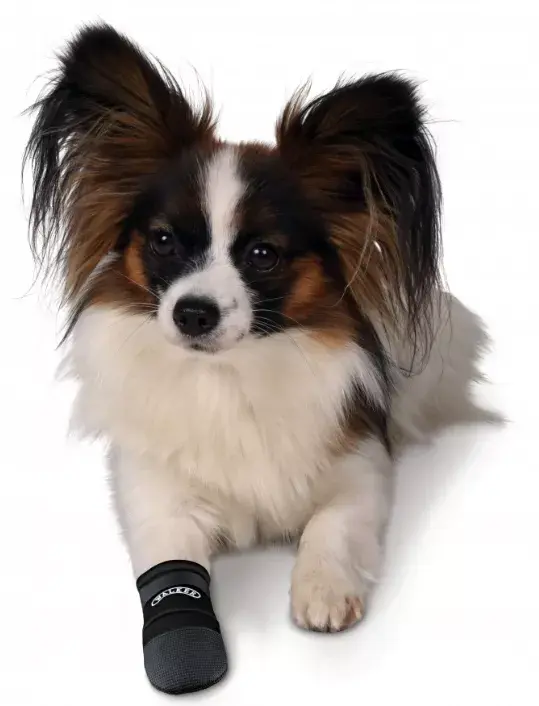 Dog Boot TRIXIE 1959 Photo 4