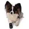 Dog Boot TRIXIE 1959 Photo 4