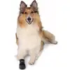 Dog Boot TRIXIE 1959 Photo 5