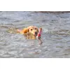 Игрушка для воды Trixie 33455 Photo 5