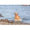 Игрушка для воды Trixie 33455 Photo 8